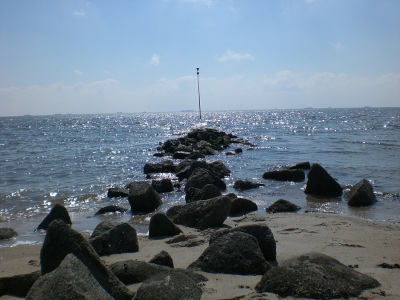 Buhne Stein Strand Nordsee
