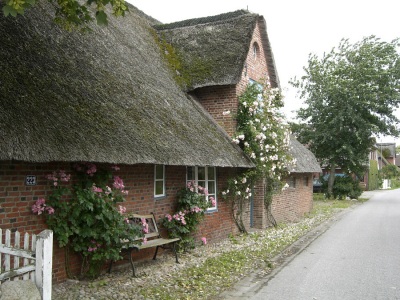 Oldsum Reetdach Friesenhaus Friesrnbank