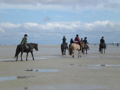 Pferd Wattenmeer reiten