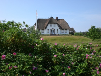 Schmuckstück Haus Greveling Nieblum