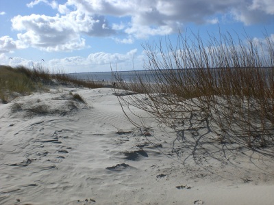 Utersum Düne Sand Amrum