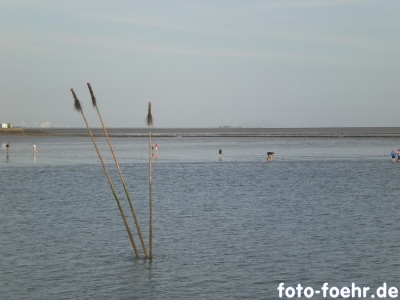 Wattlaufen Pricken Dagebüll